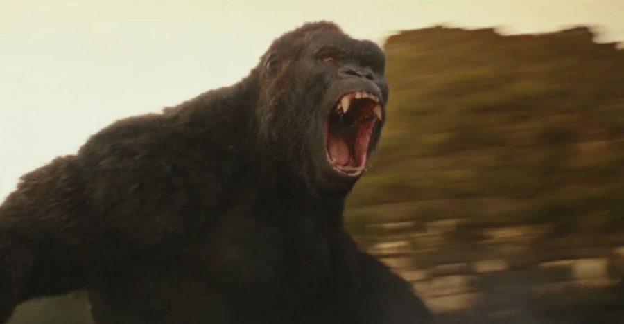 Kong an Exciting Set-Up for the Monsterverse